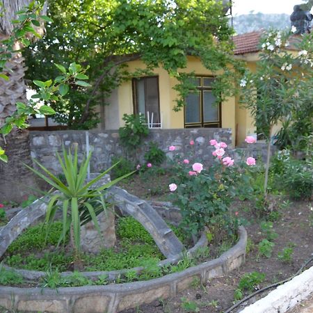 Dalyan Patio Hotel Dış mekan fotoğraf