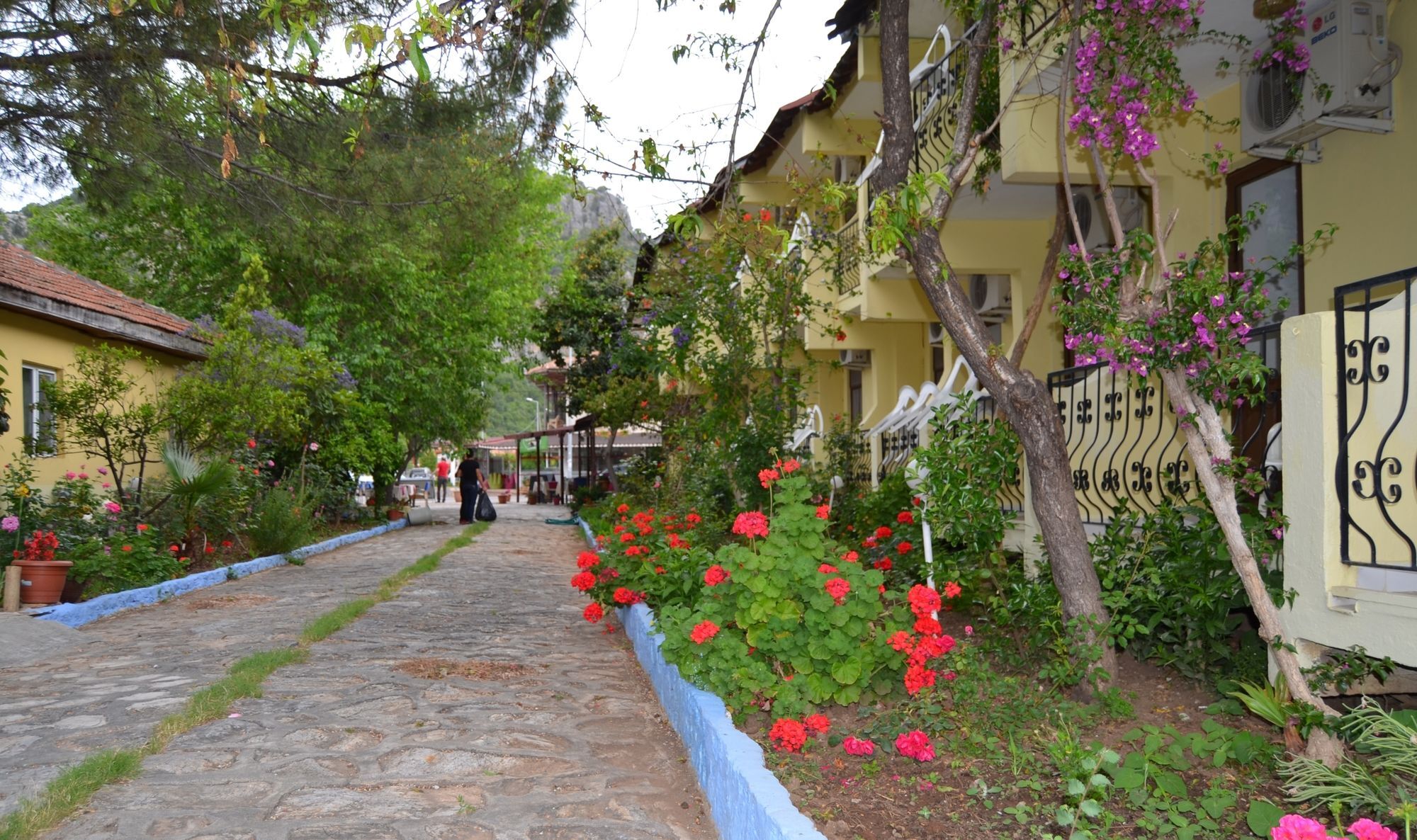 Dalyan Patio Hotel Dış mekan fotoğraf