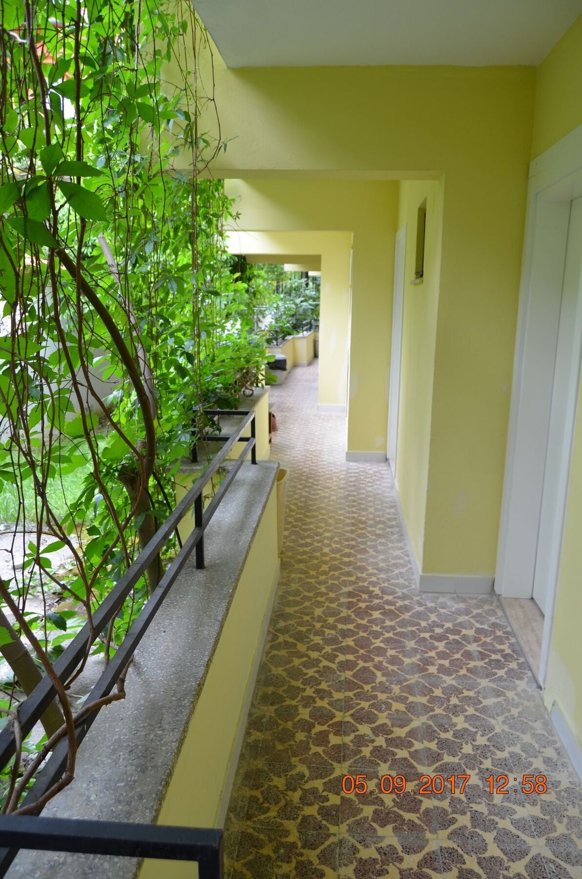 Dalyan Patio Hotel Dış mekan fotoğraf